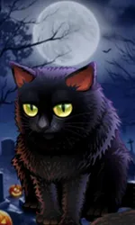Spooky Halloween
