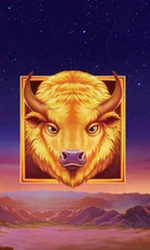 Buffalo's Sun 2